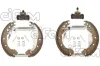 Bremsbackensatz Hinterachse CIFAM 151-175
