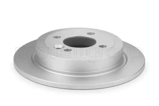 Bremsscheibe Hinterachse CIFAM 800-667C Bild Bremsscheibe Hinterachse CIFAM 800-667C