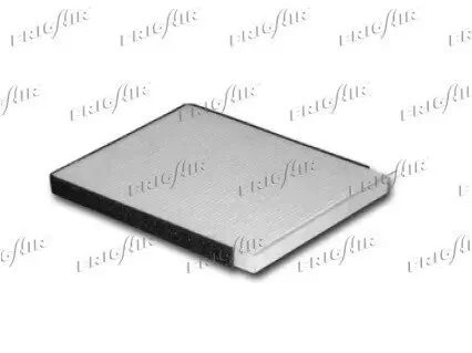Filter, Innenraumluft FRIGAIR 1319.5316 Bild Filter, Innenraumluft FRIGAIR 1319.5316