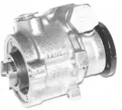Hydraulikpumpe, Lenkung GENERAL RICAMBI PI0167