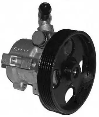 Hydraulikpumpe, Lenkung GENERAL RICAMBI PI0316