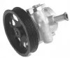 Hydraulikpumpe, Lenkung GENERAL RICAMBI PI0451