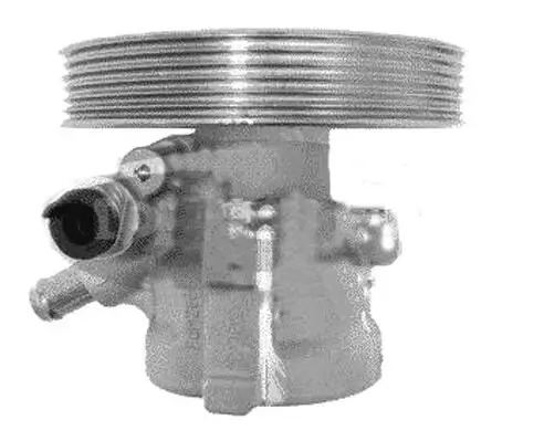 Hydraulikpumpe, Lenkung GENERAL RICAMBI PI1145