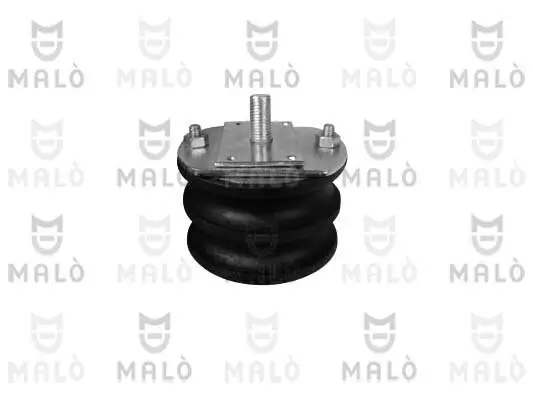 Lagerung, Motor vorne AKRON-MALÒ 2900