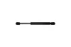 Gasfeder, Motorhaube AUTOMEGA 100002310 Bild Gasfeder, Motorhaube AUTOMEGA 100002310