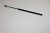 Gasfeder, Koffer-/Laderaum hinten AUTOMEGA 100004010