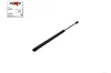 Gasfeder, Koffer-/Laderaum beidseitig AUTOMEGA 100017310 Bild Gasfeder, Koffer-/Laderaum beidseitig AUTOMEGA 100017310