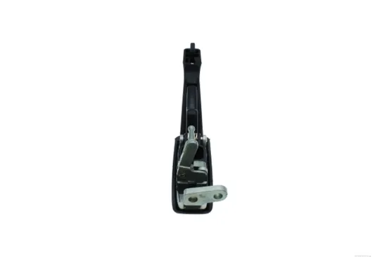 Türaußengriff hinten rechts AUTOMEGA 100032410 Bild Türaußengriff hinten rechts AUTOMEGA 100032410