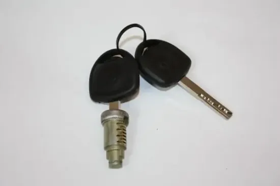Schließzylinder AUTOMEGA 100080710 Bild Schließzylinder AUTOMEGA 100080710