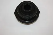 Lagerung, Lenker Vorderachse AUTOMEGA 110127910