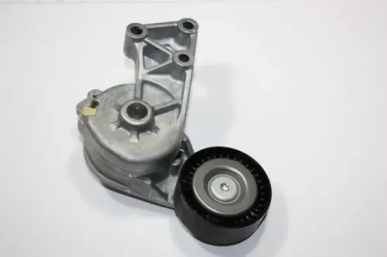 Spannarm, Keilrippenriemen AUTOMEGA 130015710 Bild Spannarm, Keilrippenriemen AUTOMEGA 130015710