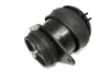 Lagerung, Motor hinten rechts AUTOMEGA 130028010