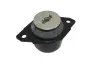 Lagerung, Motor hinten links AUTOMEGA 130030810 Bild Lagerung, Motor hinten links AUTOMEGA 130030810