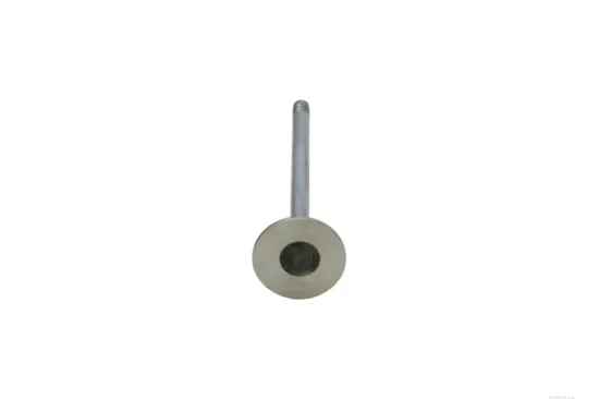 Auslassventil AUTOMEGA 130097110 Bild Auslassventil AUTOMEGA 130097110