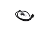 Sensor, Nockenwellenposition AUTOMEGA 150107210 Bild Sensor, Nockenwellenposition AUTOMEGA 150107210