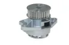 Wasserpumpe, Motorkühlung AUTOMEGA 160009010