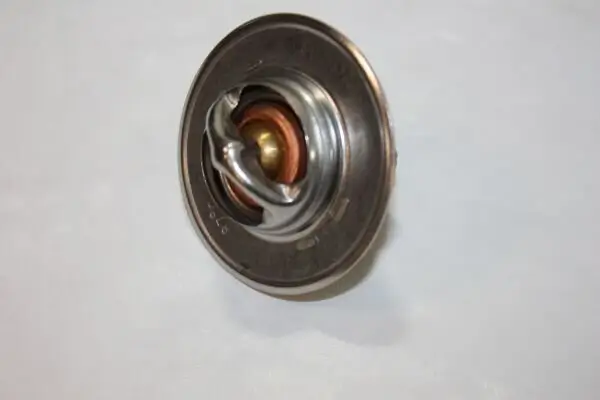 Thermostat, Kühlmittel AUTOMEGA 160047110