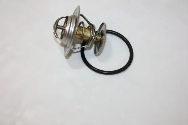 Thermostat, Kühlmittel AUTOMEGA 160047210