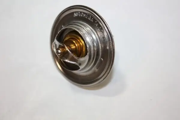 Thermostat, Kühlmittel AUTOMEGA 160072810