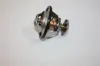 Thermostat, Kühlmittel vorne AUTOMEGA 160080110