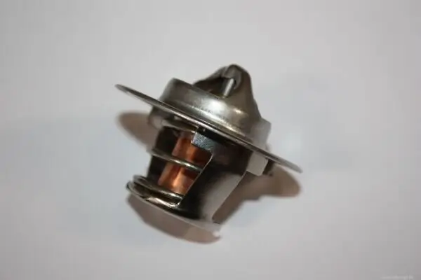 Thermostat, Kühlmittel vorne AUTOMEGA 160099810