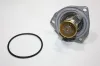 Thermostat, Kühlmittel vorne AUTOMEGA 160100010