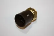 Temperaturschalter, Kühlerlüfter AUTOMEGA 160103810