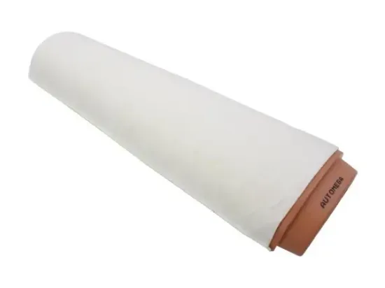 Luftfilter AUTOMEGA 180067310 Bild Luftfilter AUTOMEGA 180067310