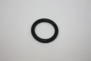 Dichtring, Thermoschalter AUTOMEGA 190013310
