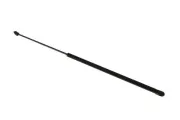 Gasfeder, Motorhaube vorne AUTOMEGA 210192010