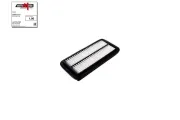 Luftfilter AUTOMEGA 250051310
