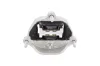 Lagerung, Motor hinten AUTOMEGA 250371110 Bild Lagerung, Motor hinten AUTOMEGA 250371110