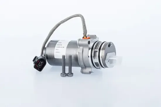 Pumpe, Lamellenkupplung (Allradantrieb) Hinterachse BorgWarner DS2010676 Bild Pumpe, Lamellenkupplung (Allradantrieb) Hinterachse BorgWarner DS2010676