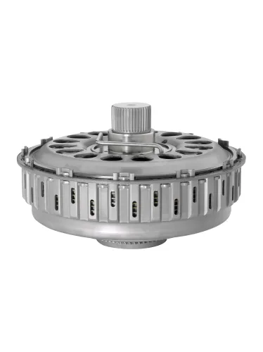 Kupplungssatz längs BorgWarner 202288 Bild Kupplungssatz längs BorgWarner 202288