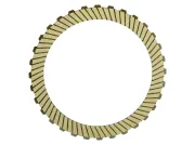 Belaglamelle, Lamellenkupplung (Automatikgetriebe) BorgWarner 203245