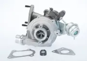 Hydraulikfilter, Lamellenkupplung (Allradantrieb) Hinterachse Hinterachse BorgWarner DS120356
