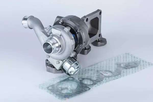 Pumpe, Lamellenkupplung (Allradantrieb) Hinterachse Hinterachse BorgWarner DS2001261