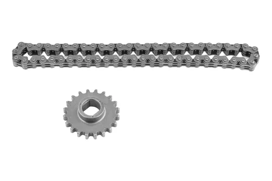 Steuerkettensatz BorgWarner 59007150023 Bild Steuerkettensatz BorgWarner 59007150023