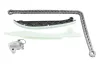 Steuerkettensatz BorgWarner 59007150026 Bild Steuerkettensatz BorgWarner 59007150026