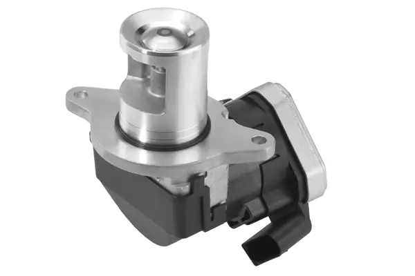 AGR-Ventil BorgWarner 710023D