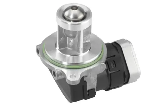 AGR-Ventil BorgWarner 710073D Bild AGR-Ventil BorgWarner 710073D