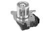 AGR-Ventil BorgWarner 710095D