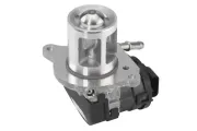 AGR-Ventil BorgWarner 710095D