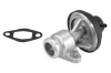 AGR-Ventil BorgWarner 710570D