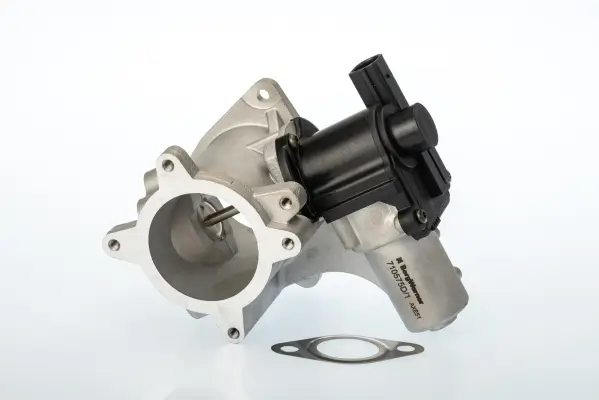 AGR-Ventil BorgWarner 710575D/1