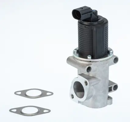 AGR-Ventil BorgWarner 710770D/1