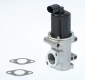 AGR-Ventil BorgWarner 710770D/1