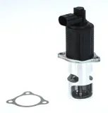 AGR-Ventil BorgWarner 710776D/1