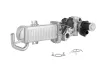 AGR-Modul BorgWarner 710861D/1
