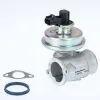 AGR-Ventil BorgWarner 710923D/1